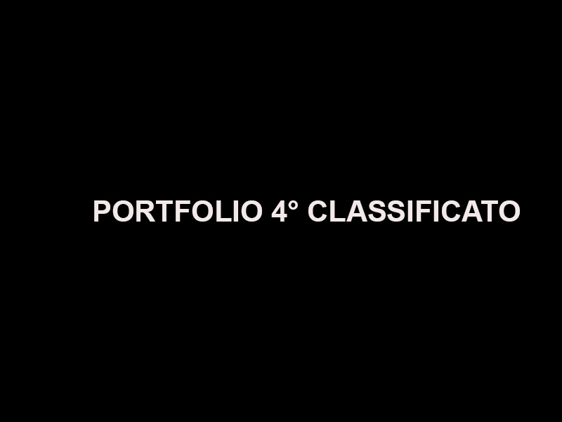 portfolio 4.jpg